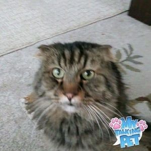 Meet your Posher, Helen